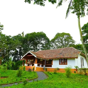 Wayanad Tea Drops , Kalpetta India